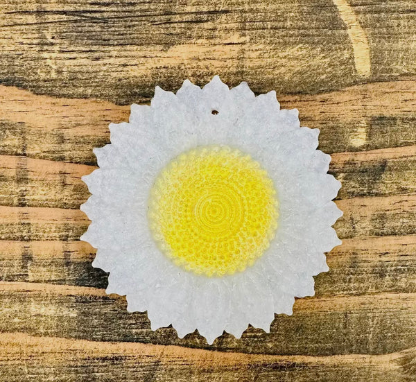 Spring daisy freshie